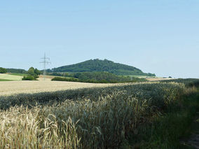 Wortgottesdienst an der Weingartenkapelle (Foto: Karl-Franz Thiede)